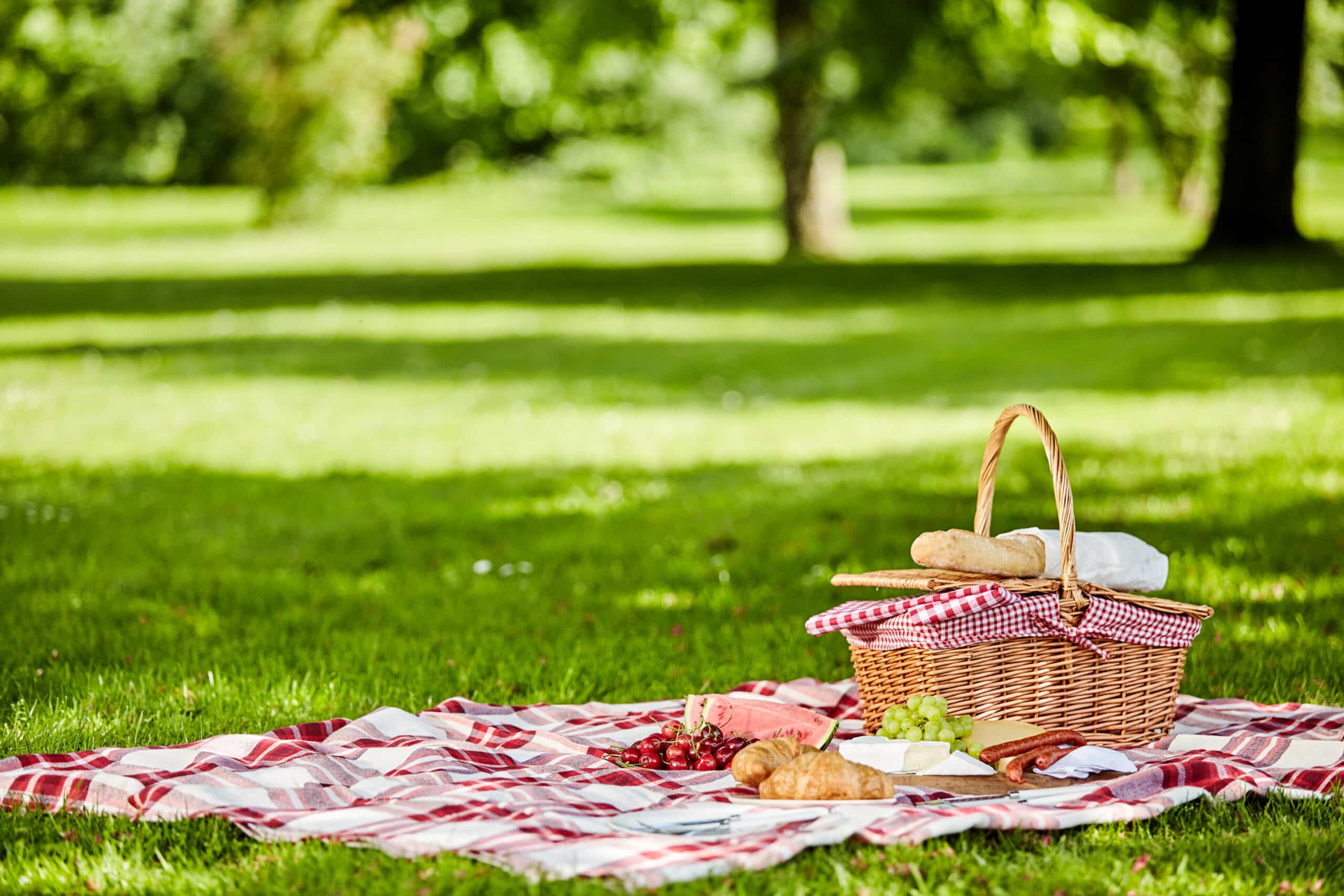 Delicious picnic spread with fresh food A wicker picnic basket surrounded by bread and fruit sits on a red checkered blanket on a grassy area surrounded by trees.
