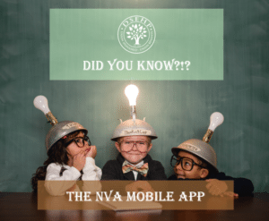 kids with thinking caps on made of strainers and light bulbs