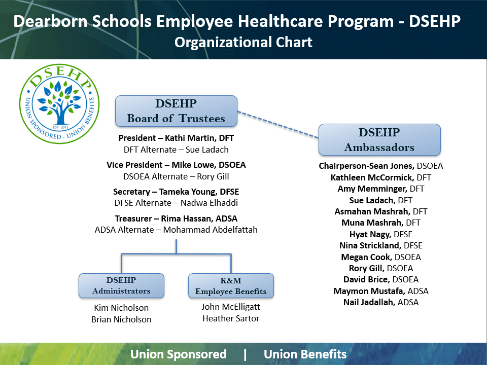 DSEHP organization chart with Logo